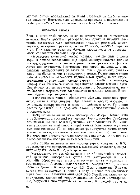 Внешне пятнистый некроз почти не отличается от сосудистого некроза. Характеризуется расстройством функций питания растений, вследствие чего наблюдается чахлость растений, корот-коузлие, отмирание рукавов, мелколистность, осенняя окраска и др. При сильном развитии болезни глазки лозы не распускаются, появляется обильная поросль.