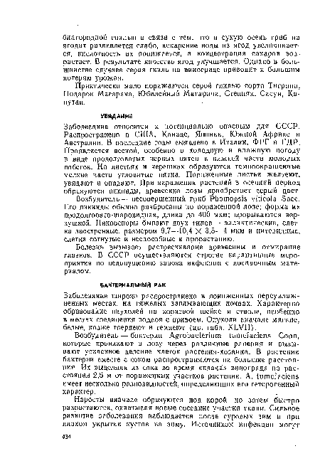 Заболевание относится к потенциально опасным для СССР. Распространено в США, Канаде, Японии, Южной Африке и Австралии. В последние годы выявлено в Италии, ФРГ и ГДР. Проявляется весной, особенно в холодную и влажную погоду в виде продолговатых черных пятен в нижней части молодых побегов. На листьях и черешках образуются темноокрашеиные мелкие часто угловатые пятна. Пораженные листья желтеют, увядают и опадают. При заражении растений в осенний период образуются пикниды, древесина лозы приобретает серый цвет.