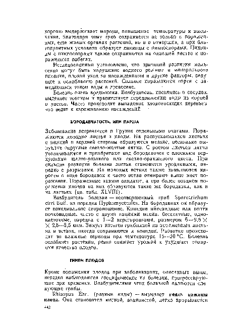 Исследованиями установлено, что причиной развития маль-секко могут быть нарушение водного режима и минерального питания, плохой уход за насаждениями и другие факторы, ведущие к ослаблению растений. Сильнее поражаются сорта с замедленным током воды в древесине.