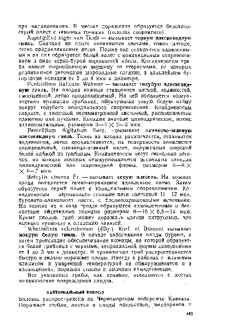 Все указанные грибы, как правило, поселяются в местах механических повреждений плодов.