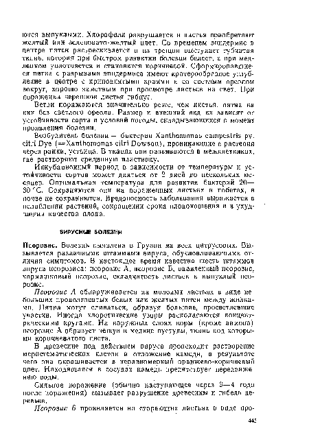 Ветви поражаются значительно реже, чем листья, пятна на них без светлого ореола. Размер и внешний вид их зависят от устойчивости сорта и условий погоды, складывающихся в момент проявления болезни.