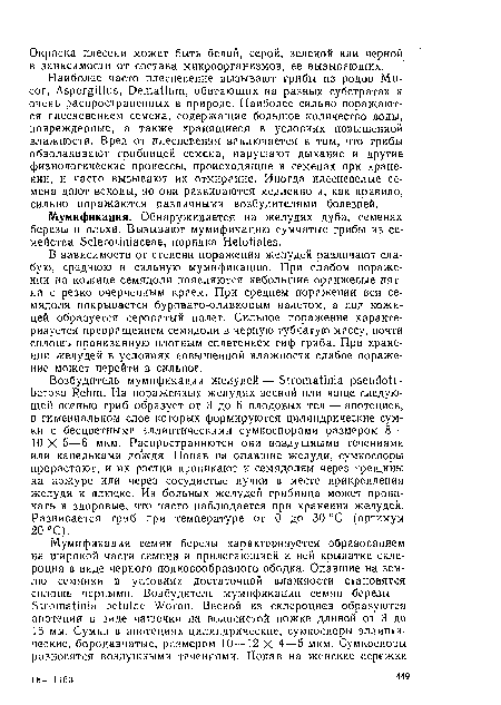 Наиболее часто плесиевение вызывают грибы из родов Ми-cor, Aspergillus, Dematium, обитающих на разных субстратах и очень распространенных в природе. Наиболее сильно поражаются плесневением семена, содержащие большое количество воды, поврежденные, а также хранящиеся в условиях повышенной влажности. Вред от плесневения заключается в том, что грибы обволакивают грибницей семена, нарушают дыхание и другие физиологические процессы, происходящие в семенах при хранении, и часто вызывают их отмирание. Иногда плесневелые семена дают всходы, но они развиваются медленно и, как правило, сильно поражаются различными возбудителями болезней.