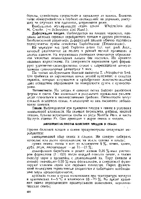 На тополе возбудителем болезни является Т. rhizophorus Sad. Его грибница из зараженных почек весной проникает в плодики сережек, которые вздуваются и приобретают золотисто-желтый цвет вследствие образования на поверхности сумок с сумкоспорами.