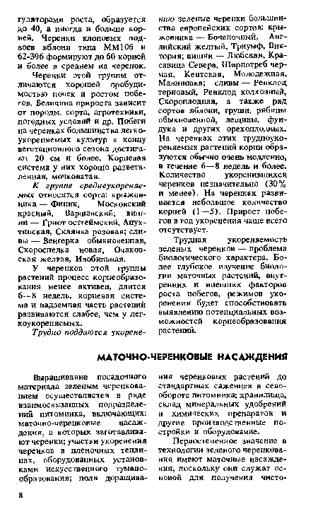 Трудная укореняемость зеленых черенков — проблема биологического характера. Более глубокое изучение биологии маточных растений, внутренних и внешних факторов роста побегов, режимов укоренения будет способствовать выявлению потенциальных возможностей корнеобразования растений.