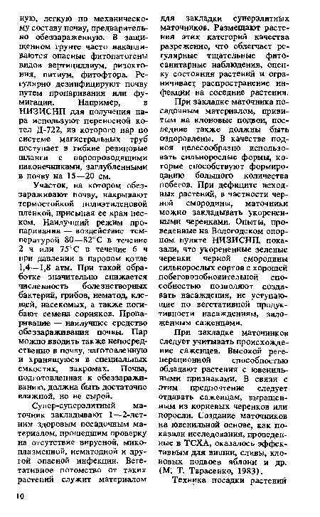 При закладке маточников следует учитывать происхождение саженцев. Высокой регенерационной способностью обладают растения с ювенильными признаками. В связи с этим предпочтение следует отдавать саженцам, выращенным из корневых черенков или поросли. Создание маточников на ювенильной основе, как показали исследования, проведенные в ТСХА, оказалось эффективным для вишни, сливы, кло-новых подвоев яблони и др. (М . Т. Тарасенко, 1983).