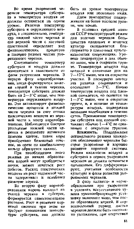 При несоблюдении этого режима до начала образования корней могут пробудиться почки, может начаться рост побегов. Расход пластических веществ на рост надземной части задерживает и ослабляет развитие корней.