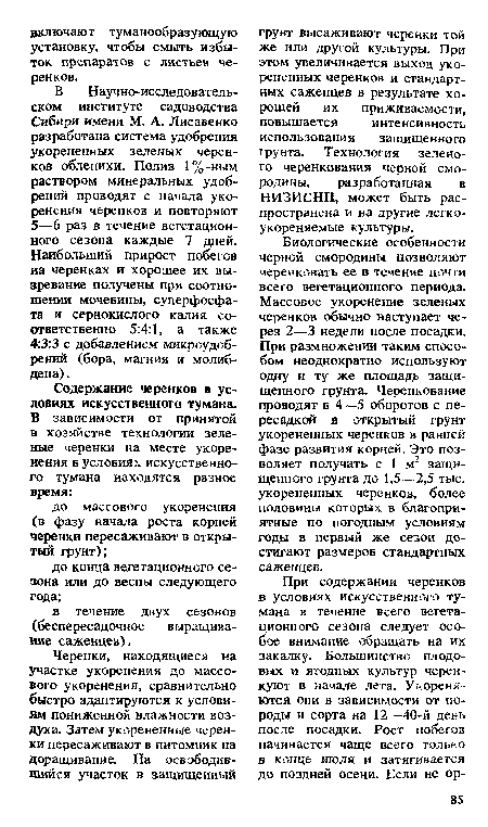 Биологические особенности черной смородины позволяют черенковать ее в течение почти всего вегетационного периода. Массовое укоренение зеленых черенков обычно наступает через 2—3 недели после посадки. При размножении таким способом неоднократно используют одну и ту же площадь защищенного грунта. Черенкование проводят в 4—5 оборотов с пересадкой в открытый грунт укорененных черенков в ранней фазе развития корней. Это позволяет получать с 1 м2 защищенного грунта до 1,5—2,5 тыс. укорененных черенков, более половины которых в благоприятные по погодным условиям годы в первый же сезон достигают размеров стандартных саженцев.