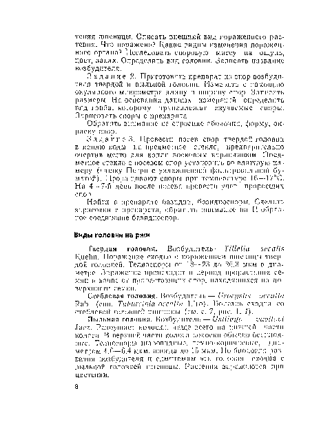 Задание 3. Провести посев спор твердой головни в каплю воды па предметное стекло, предварительно очертив место для каплп восковым карандашом. Предметное стекло с посевом спор установить во влажную камеру (чашку Петри с увлажненной фильтровальной бумагой). Проращивают споры при температуре 16—17°С. На 4—7-й день после посева провести учет проросших спор.