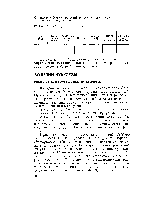 Задание 1. Ознакомиться с заболеванием всходов па живых и фиксированных растениях кукурузы.