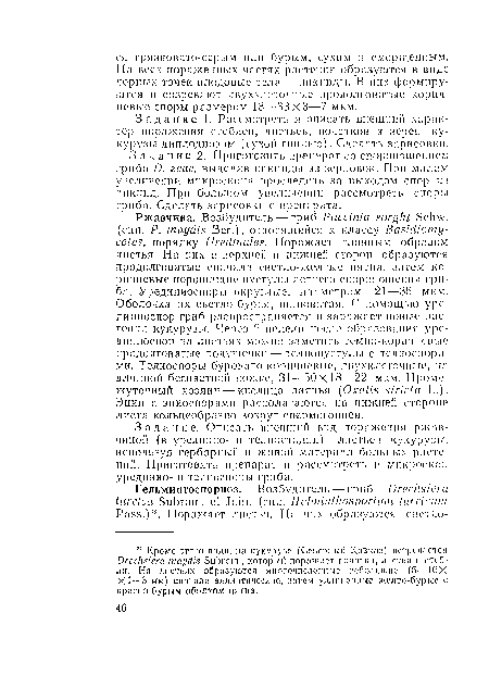 Задание 1. Рассмотреть и описать внешний характер поражения стеблей, листьев, початков и зерен кукурузы диплодиозом (сухой гиплыо). Сделать зарисовки.