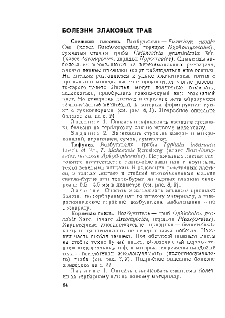 Зада пне. Описать и зарисовать внешние признаки болезни по гербариому или по живому материалу, а микроскопическое строение возбудителя заболевания — по препарату.