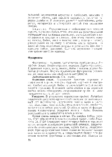 Задание, Ознакомиться с заболеваниями всходов гороха, кормовых бобов, вики, люпина па фиксированном материале или па живых растеипях, выращиваемых в вегетационных сосудах и ящиках. Для этого посеять семена гороха, бобов, вики в вазоны пли в ящики с почвой, раскладывая пх по счету и отмечая места заделки. На десятый день подсчитать всходы и установить процент п причины гибели растений. Сделать зарисовки проявления заболеваний па всходах.