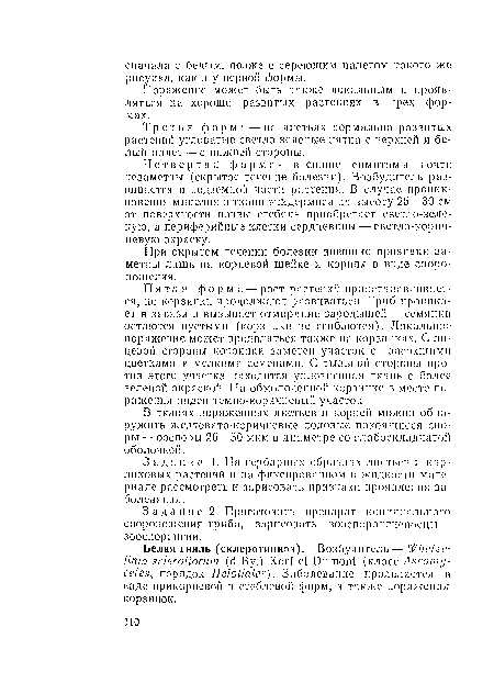 Задание 1. На гербарпых образцах листьев и карликовых растений и па фиксированном в жидкости материале рассмотреть и зарисовать призпакп проявления заболевания.