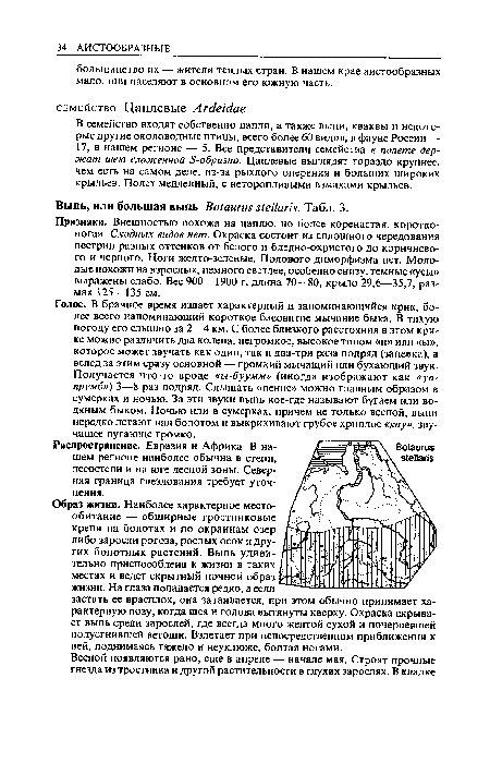 Образ жизни. Наиболее характерное местообитание — обширные тростниковые крепи на болотах и по окраинам озер либо заросли рогоза, рослых осок и других болотных растений. Выпь удивительно приспособлена к жизни в таких местах и ведет скрытный ночной образ жизни. На глаза попадается редко, а если застать ее врасплох, оиа затаивается, при этом обычно принимает характерную позу, когда шея и голова вытянуты кверху. Окраска скрывает выпь среди зарослей, где всегда много желтой сухой и почерневшей полусгнившей ветоши. Взлетает при непосредственном приближении к ней, поднимаясь тяжело и неуклюже, болтая ногами.