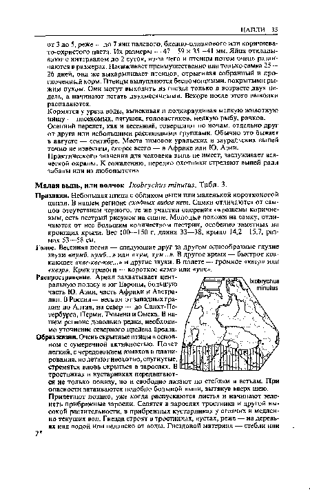 Кормятся у уреза воды, выискивая и подкарауливая мелкую животную пищу — насекомых, лягушек, головастиков, мелкую рыбу, рачков. Осенний перелет, как и весенний, совершают по ночам, отдельно друг от друга или небольшими рассеянными группами. Обычно это бывает в августе — сентябре. Места зимовок уральских и зауральских выпей точно не известны, скорее всего — в Африке или Ю. Азии. Практического значения для человека выпь не имеет, заслуживает всяческой охраны. К сожалению, нередко охотники стреляют выпей ради забавы или из любопытства.