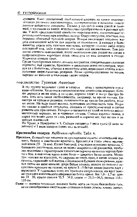 Среди гусеобразных много дальних мигрантов, совершающих сезонные перелеты, как правило, бросками в несколько сотен километров, чередуя их с большими, обычно в несколько дней, периодами отдыха и восполнения энергетических резервов. Летят преимущественно по ночам, нередко на высотах в несколько тысяч метров.