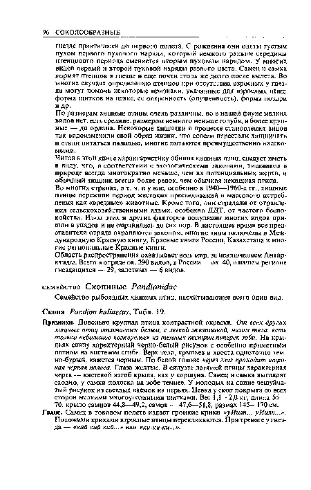 По размерам хищные птицы очень различны, но в нашей фауне мелких видов нет, есть средние, размером немного меньше голубя, и более крупные — до орлана. Некоторые хищники в процессе становления видов так видоизменили свой образ жизни, что совсем перестали хищничать и стали питаться падалью, многие питаются преимущественно насекомыми.