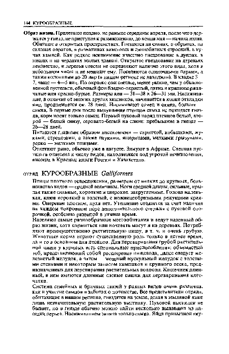 Птицы плотного телосложения, размером от мелких до крупных, большинство видов — средней величины. Ноги средней длины, сильные, крылья также сильные, короткие и широкие, закругленные. Голова маленькая, клюв короткий и толстый, с ножницеобразными режущими краями. Оперение плотное, пуха нет. Утепление создается за счет наличия на каждом покровном пере дополнительного стержня с пуховой оторочкой, особенно развитой в зимнее время.