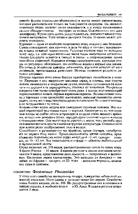 Способность к размножению все куриные, кроме глухаря, приобретают на первом году жизни. Продолжительность жизни невелика, представители большинства видов редко живут до 4—5 лет, глухари — дольше, до 10—12 лет. Все представители отряда — объекты любительской и промысловой охоты.