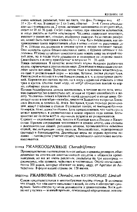 Преимущественно околоводные птицы мелких и средних размеров, объединяемые на основании анатомического сходства и общности происхождения, но все же очень различны, разделены на три подотряда — ржанковых, или куликов, чайковых и чистиковых. Отряд насчитывает почти 300 видов, которые обитают по всему миру, от Арктики до Антарктики. В фауне нашей страны ок. 120 видов.