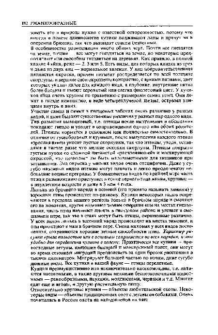 Кулики преимущественно или исключительно насекомоядны, т.е. питаются насекомыми, а также другими мелкими беспозвоночными животными — ракообразными, пауками, моллюсками, червями и т.д. Многие едят еще и ягоды, и другую растительную пищу.