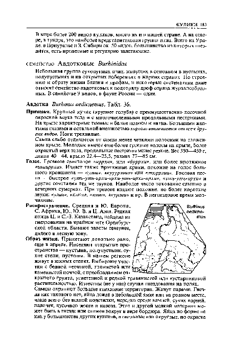 Небольшая группа сухопутных птиц, живущих в основном в пустынях, полупустынях и на открытых побережьях в жарких странах. По строению и образу жизни близки к дрофам, и некоторые систематики даже относят семейство авдотковых к подотряду дроф отряда журавлеобразных. В семействе 9 видов, в фауне России — один.