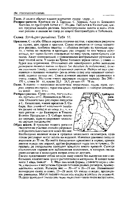 Распространение. Крайний юг 3. Европы, С. Африка, Азия от Ближнего Востока до предгорий Алтая и С. Индии. Гнездятся в Казахстане, южнее пределов нашего региона. Зарегистрированы залеты в наши степные районы и дальше на север до широт Екатеринбурга и Тобольска.