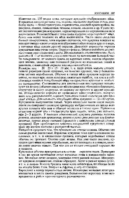 Известно ок. 150 видов птиц, которым кукушки подбрасывают яйца. В пределах нашего региона это, видимо, несколько десятков видов, наиболее часто — белая трясогузка, горихвостка, соловей-красношейка, варакушка, славки, камышовки, чеканы, коньки, овсянки и др. Существуют экологические расы кукушек, паразитирующих на определенном виде воспитателя. В соответствии с этим самки кукушек подкладывают яйца, более или менее похожие на яйца воспитателя. Часто такое сходство бывает совершенным, хотя нередко случается, что кукушка вовремя не находит гнездо «своего» вида и подбрасывает яйцо птицам другого вида, у которых яйца совсем другой окраски. Диапазон вариантов окраски кукушечьих яиц очень широк. Окраска фона от бледно-голубого до светлых тонов серо-оливкового цвета. Интенсивность опятнения может быть различной — от полного отсутствия пятен до заполнения большей части поверхности, от мелкого крапа до крупных пятен, иногда образующих венчик, шапочку или сплошной рисунок из извилистых линий и завитков, с имитацией окраски яиц вида-воспитателя.