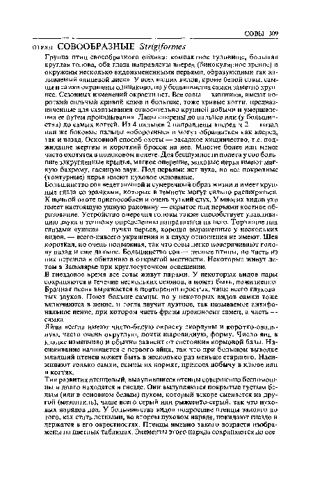 Большинство сов ведет ночной и сумеречный образ жизни и имеет круп ные глаза со зрачками, которые в темноте могут сильно расширяться. К ночной охоте приспособлен и очень чуткий слух. У многих видов ухо имеет настоящую ушную раковину — скрытое под перьями костное образование. Устройство оперения головы также способствует улавливанию звука и точному определению направления на него. Торчащие над глазами «ушки» — пучки перьев, хорошо выраженные у нескольких видов, — всего-навсего украшения и к слуху отношения не имеют. Шея короткая, но очень подвижная, так что совы легко поворачивают голову назад и еще дальше. Большинство сов — лесные птицы, но часть из них перешла к обитанию в открытой местности. Некоторые живут летом в Заполярье при круглосуточном освещении.