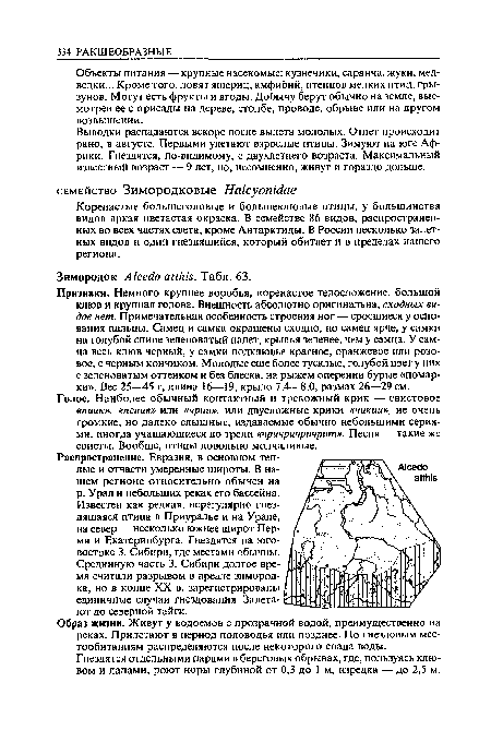 Выводки распадаются вскоре после вылета молодых. Отлет происходит рано, в августе. Первыми улетают взрослые птицы. Зимуют на юге Африки. Гнездятся, по-видимому, с двухлетнего возраста. Максимальный известный возраст — 9 лет, но, несомненно, живут и гораздо дольше.