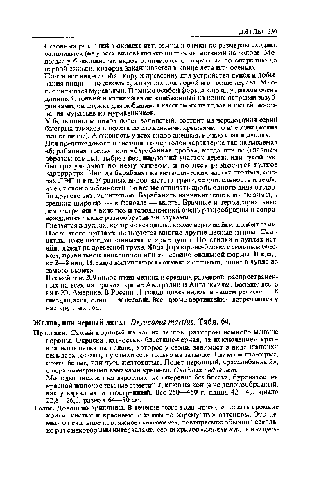 Признаки. Самый крупный из наших дятлов, размером немного меньше вороны. Окраска полностью блестяще-черная, за исключением ярко-красного пятна на голове, которое у самца занимает в виде шапочки весь верх головы, а у самки есть только на затылке. Глаза светло-серые, почти белые, или чуть желтоватые. Полет неровный, «расхлябанный», с неравномерными взмахами крыльев. Сходных видов нет.