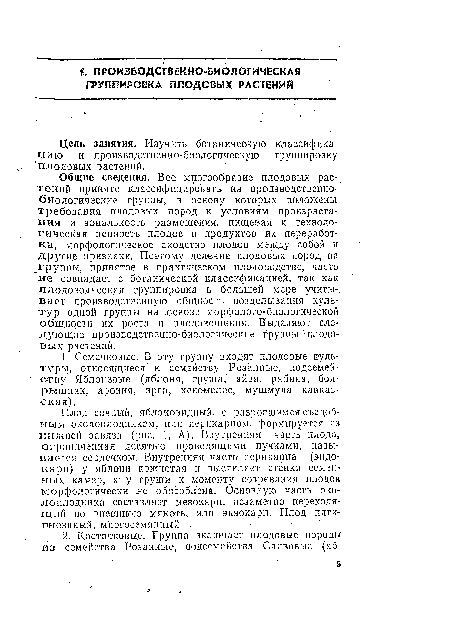 Общие сведения. Все многообразие плодовых растений принято классифицировать на производственно-биологические группы, в основу которых положены требования плодовых пород к условиям произрастания и зональность . размещения, пищевая и техноло-. гическая ценность плодов и продуктов их переработки, морфологическое сходство плодов между собой и другие признаки. Поэтому деление плодовых пород на „группы, принятое в практическом плодоводстве, часто не совпадает с ботанической классификацией, так как плодоводческая группировка в большей мере учиты-, вает производственную общность возделывания культур одной группы на .основ.е морфолого-биологической общности их роста н плодоношения. Выделяют следующие производственно-биологические группы плодовых растений.