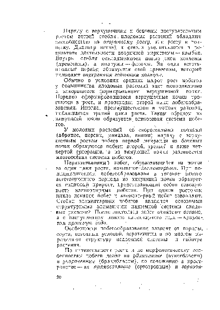 Неразветвленный побег, образовавшийся из почки за один цикл роста, называют элементарным. При по-лициклическом побегообразовании в течение одного вегетационного периода из зимующей почки образуется годичный прирост, представляющий собой совокупность элементарных побегов. При одном ростовом цикле понятия побег и элементарный побег совпадают. Стебли элементарных побегов являются основными структурными элементами надземной системы плодовых растений. После листопада побег называют ветвью, а с наступлением нового календарного года — прирос-, том прошлого года.