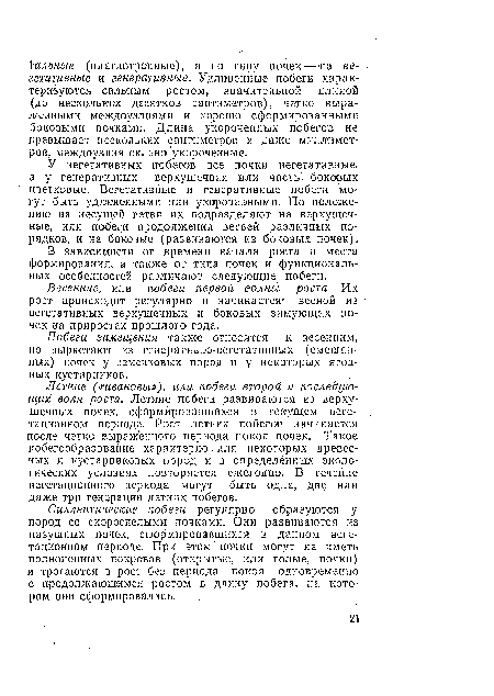 У вегетативных побегов все почки вегетативные, а у генеративных — верхушечная или часть, боковых цветковые. "Вегетативные и генеративные побеги могут быть удлиненными или укороченными. По положению на несущей ветви их подразделяют на верхушечные, или побеги продолжения ветвей различных порядков, и на боковые (развиваются из боковых почек).