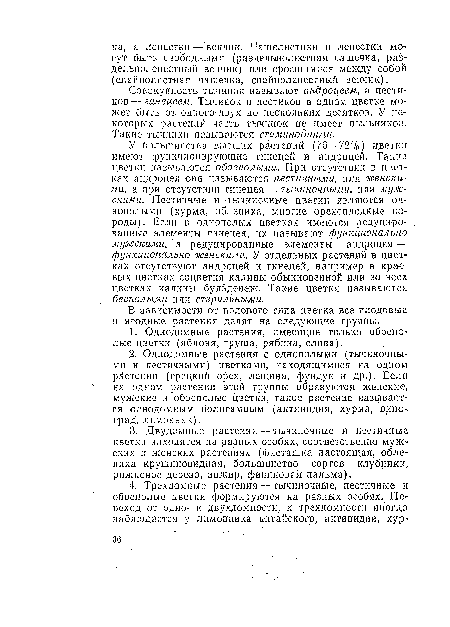 Совокупность тычинок называют андроцеем, а пестиков— гинецеем. Тычинок н пестиков в одном цветке может быть от одиого-двух до нескольких десятков. У некоторых растений часть тычинок не имеет пыльников. Такие тычинки называются стаминодиями.