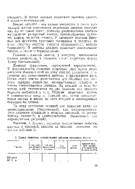 Зонтик простой — ось сильно укорочена и почти одинаковой длины цветоножки отдельных цветков выходят как бы йз одной точки. Поэтому расположение цветков напоминает раскрытый зонтнк, куполообразное (яблоня, вишня, черешня, слива). У сложного зонтика боковые оси являются простыми зонтиками и ветвятся по типу простого зонтика (калина обыкновенная, калина гордовина), В зонтике вначале зацветает центральный цветок, а затем — периферийные.