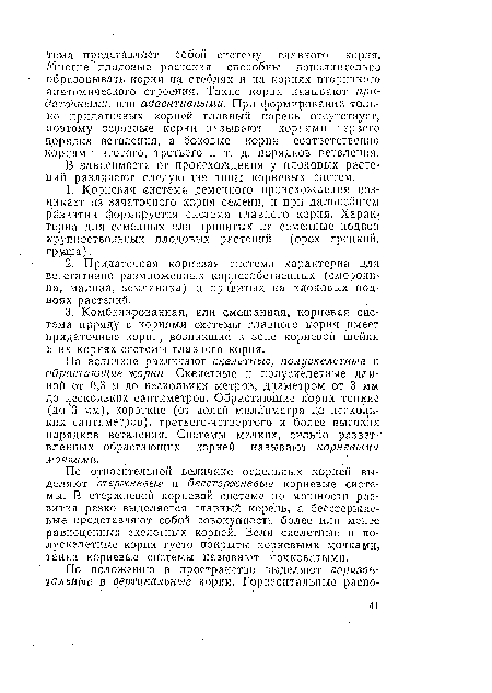 По величине различают скелетные, полу скелетные и обрастающие -корни. Скелетные и полускелетные длиной от 0,3 м до нескольких метров, диаметром от 3 мм до нескольких сантиметров. Обрастающие корни тонкие (до 3 мм), короткие (от долей миллиметра до нескольких сантиметров), третьего-четвертого и более высоких порядков ветвления. Системы мелких, сильно разветвленных обрастающих корней называют корневыми мочками.