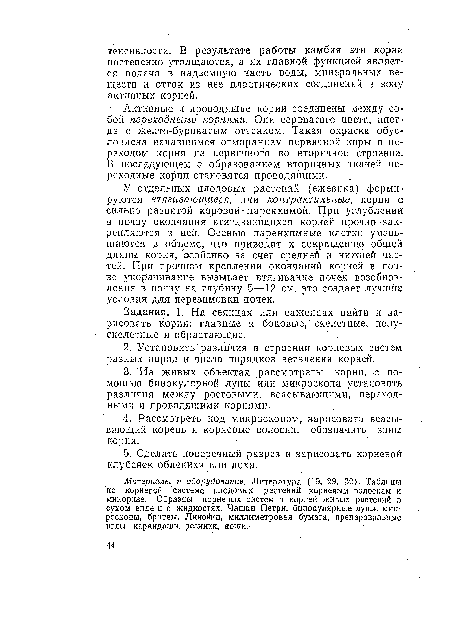 Задания. 1. На сеянцах или саженцах найти и зарисовать корни: главные и боковые, скелетные, полу-скелетные и обрастающие.