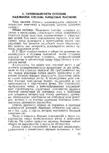 Общие сведения. Надземная система плодовых деревьев и кустарников представляет собой совокупность большого числа скелетных, полускелетных и обрастающих ветвей. Она имеет определенное строение, а ее составные части размещены в пространстве строго упорядоченно, что является следствием таких биологических свойств, как полярность, метамерность осевых органов, корреляция роста.