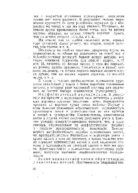 Поскольку на слабых годичных приростах ярусы не формируются, то общее их количество на одной оси у полловозрастных растений бывает всегда меньше, чем число годичных приростов или общий - возраст этой оси. И, наконец, на ветвях одного и того же порядка, но разных ярусов ярусность проявляется в разной степени: например, на ветвях первого порядка первого яруса лучше, чем на ветвях первого порядка, но второго. яруса, и т. д.