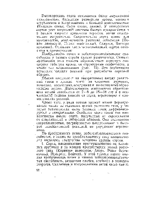 Пробудимость почек и побегопроизводительная способность у разных сортсЗв сильно различаются. Степень проявления этих свойств обусловливает сортовую специфику габитуса кроны, ее структурные особенности, а также тип плодоношения (рис. 15). Эти особенности ветвления служат основой при разработке сортовой обрезки.