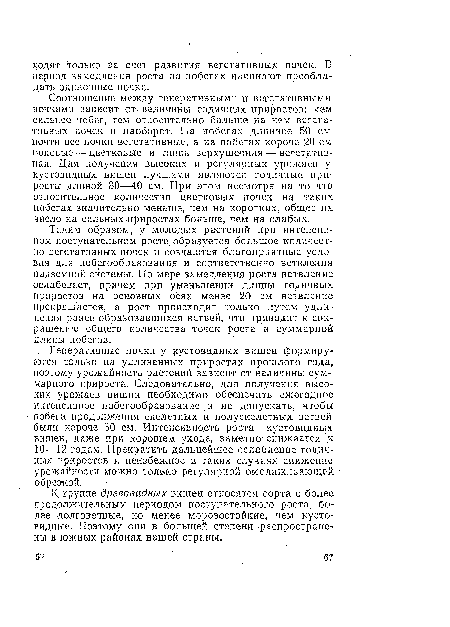 Таким образом, у молодых растений при интенсивном поступательном росте образуется большое количество вегетативных почек и создаются благоприятные условия для побегообразования и соответственно ветвления надземной системы. По мере замедления роста ветвление ослабевает, причем при уменьшении длины годичных приростов на основных осях менее 20 см ветвление прекращается, а рост происходит только путем удлинения ранее образовавшихся ветвей, что приводит к сокращению общего количества точек роста и суммарной длины побегов.