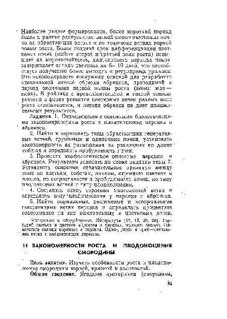 Цель занятия. Изучить особенности роста и плодоношения смородины черной, красной и золотистой.