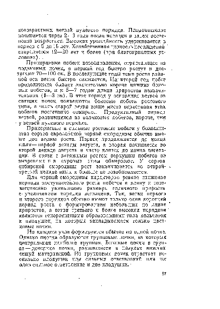 Для черной смородины характерно резкое снижение периода поступательного роста побегов в длину и соответственно уменьшение размера годичного прироста с увеличением порядка ветвления. Так, ветви первого и второго порядков обычно имеют только один короткий период роста с формированием небольших по длине приростов, а ветви третьего и более высоких порядков являются генеративными образованиями типа кольчаток и плодушек, на которых закладываются только цветковые почки.