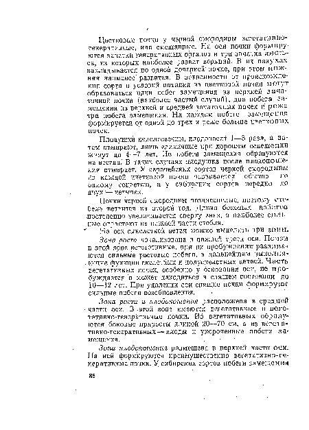 Зона роста и плодоношения расположена в средней части оси. В этой зоне имеются вегетативные и вегетативно-генеративные почки. Из вегетативных образуются боковые приросты длиной 20—70 см, а из вегетативно-генеративных— плоды и укороченные побеги замещения.