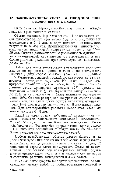 Одной из характерных особенностей крыжовника .является высокая побеговосстановительнай способность. У него ежегодно отрастает большое количество побегов возобновления. Поэтому без прореживания кусты склонны к сильному загущению и могут иметь до 50—70 и более разновозрастных прикорневых ветвей.