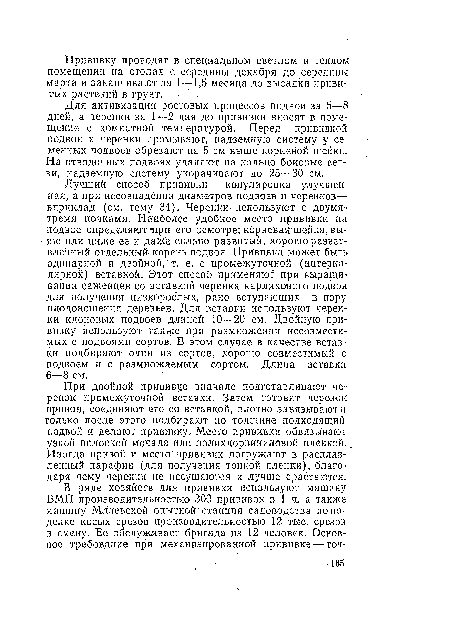 Лучший способ прививки — копулировка улучшенная, а при несовпадении диаметров подвоев и черенков— вприклад (см. тему 34). Чер енки используют с двумя-тремя почками. Наиболее удобное место прививки на подвое определяют ■при его осмотре: корневая шейка, выше или ниже ее и даже сильно развитый, хороню разветвленный отдельный корень подвоя. Прививка может быть одинарной и двойной, т. е. с промежуточной (интерка-лярной) вставкой. Этот способ применяют при выращивании саженцев со вставкой черенка карликового подвоя для получения низкорослых, рано вступающих в пору плодоношения деревьев. Для вставки используют черенки клоповых подвоев длиной 10—20 см. Двойную прививку используют также при размножении несовместимых с подвоями сортов. В этом случае в качестве вставки подбирают один из сортов, хорошо совместимый с подвоем и с размножаемым сортом. Длина вставки 6—8 см.