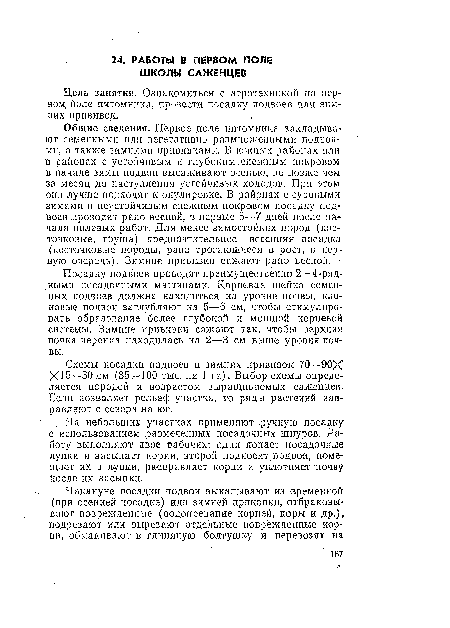 Общие сведения. Первое поле питомника закладывают семенными или вегетативно размноженными подвоями, а также зимними прививками, В южных районах или в районах с устойчивым и глубоким.снежным покровом в начале зимы подвой высаживают осенью, не позже чем за месяц до наступления устойчивых холодов. При этом они лучше подходят к окулировке. В районах с суровыми зимами и неустойчивым снежным покровом посадку подвоев проводят рано весной, в первые 5—7 дней после начала полевых работ. Для менее зимостойких пород (косточковые, груша) предпочтительнее весенняя посадка (косточковые породы, рано трогающиеся в рост, в первую очередь). Зимние пршзивкн сажают рано весной.