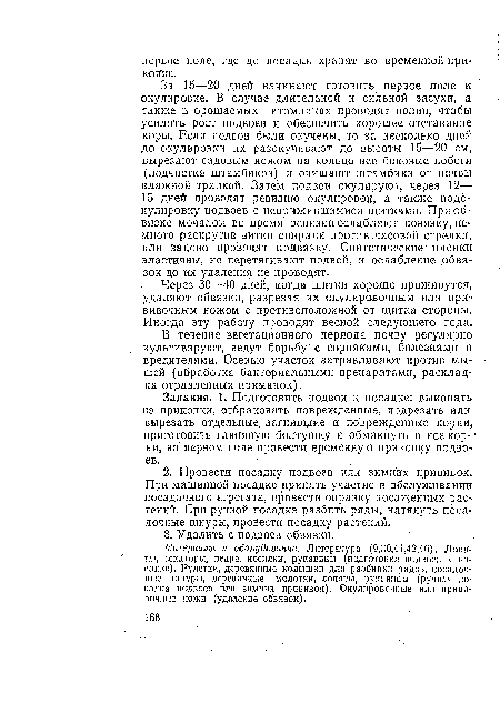 Через 30—40 дней, когда щитки хорошо приживутся, удаляют обвязки, разрезая их окулировочным или прививочным ножом с противоположной от щитка стороны. Иногда эту работу проводят весной следующего года.