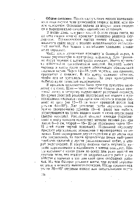 В конце зимы или рано весной (после схода снега, но до оттаивания почвы) проводят весеннюю ревизию окулировок. Прижившиеся щитки имеют гладкую, нормального цвета кору, с хорошо выделяющейся неподсохшей почкой. Все подвои с погибшими глазками прививают черенком.